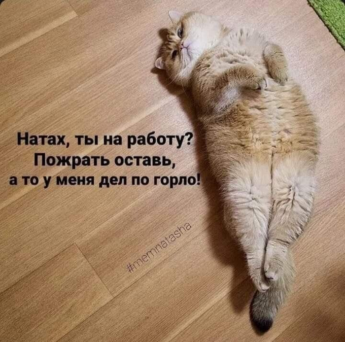 Плохое утро - это когда пили все вместе, а на работу только тебе...