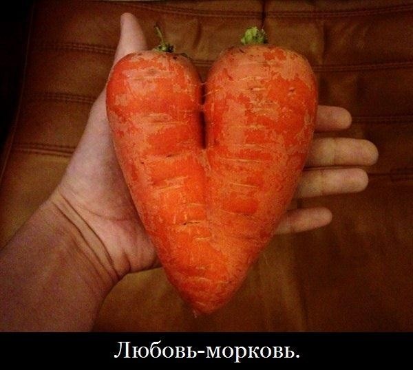 Несколько анекдотов и шуточек для настроения