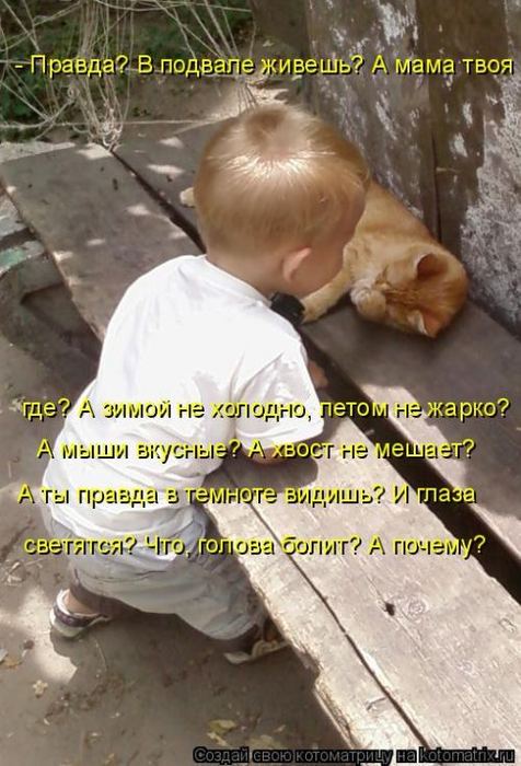 Котоматрица. Мысли вслух :) 