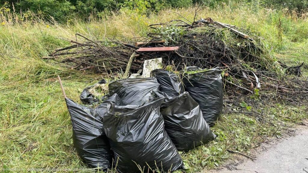 В спальном районе Рязани прошла экологическая акция