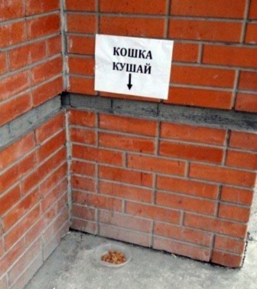 Самые прикольные надписи и объявления
