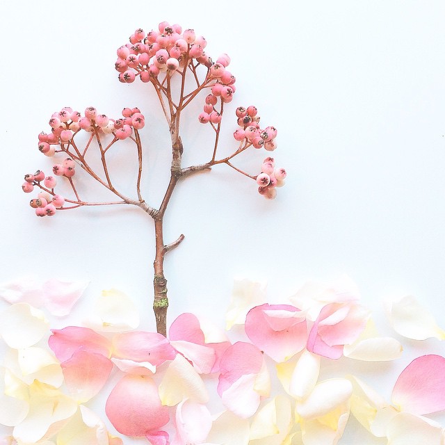 Причудливые 
цветочные узоры
в самом весеннем 
Инстаграме