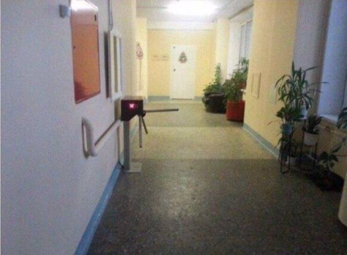 Кто-то очень сильно беспокоится о своем имуществе (43 фото)