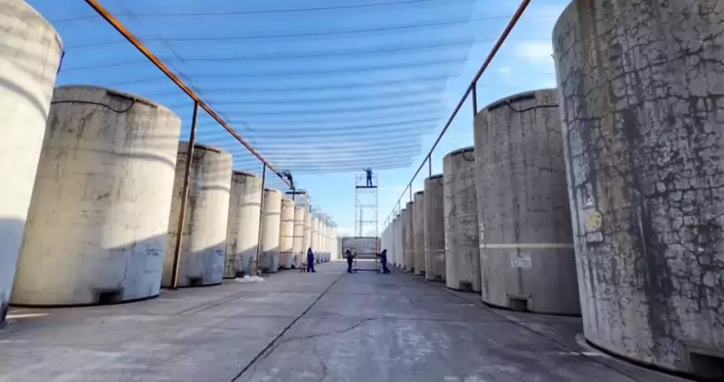 Символическая защита: саркофаг для Запорожской АЭС