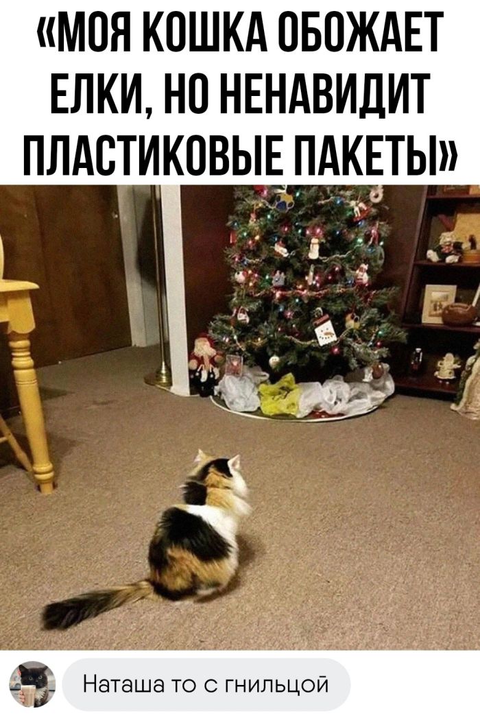 Это же какие надо сегодня иметь крепкие нервы, чтобы не нервничать через, рождество, полчаса, Согласен, женщиной, всетаки, настолько, такойСидят, просто, найду…нет, хорошего, парень, думала, членОбрадовалась, мужской, напоминала, очень, девушка, Давай, поговорим