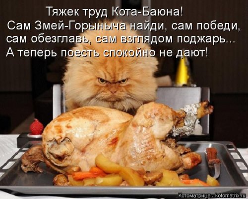 Котоматрицы недели прикольные картинки