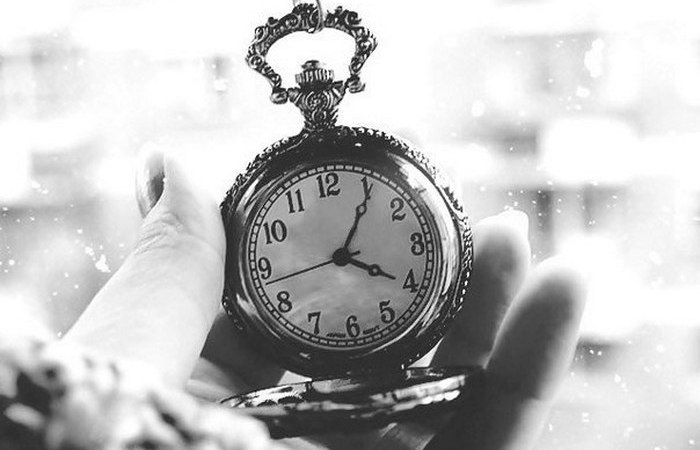 «Полжизни мы теряем из-за спешки...»