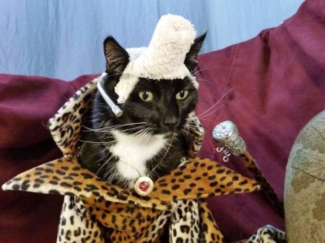 Фотоподборка вторника 27 ноября Фотоподборка вторника 27 ноября