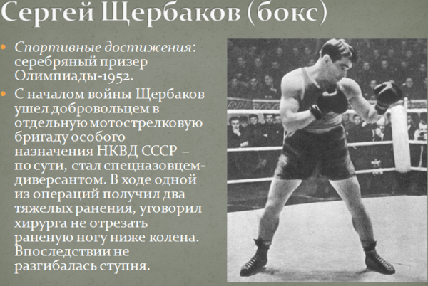 Как олимпийцы сражались за Родину СССР, история, спорт, фото