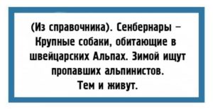 24 юмористические открытки с шутками из повседневной жизни 