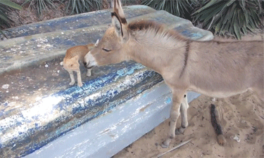 Забавные и прикольные гифки для улыбки Забавные и прикольные гифки для улыбки позитивные девушки гифки