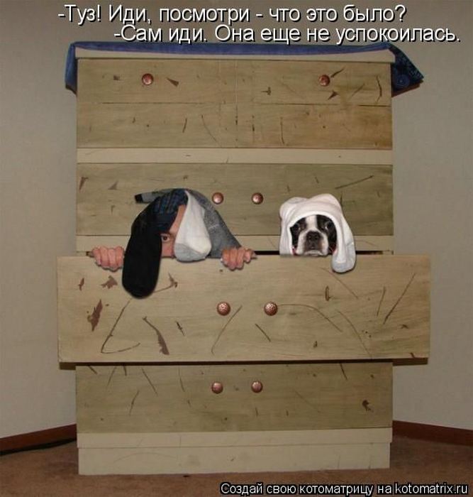 Мысли вслух :)