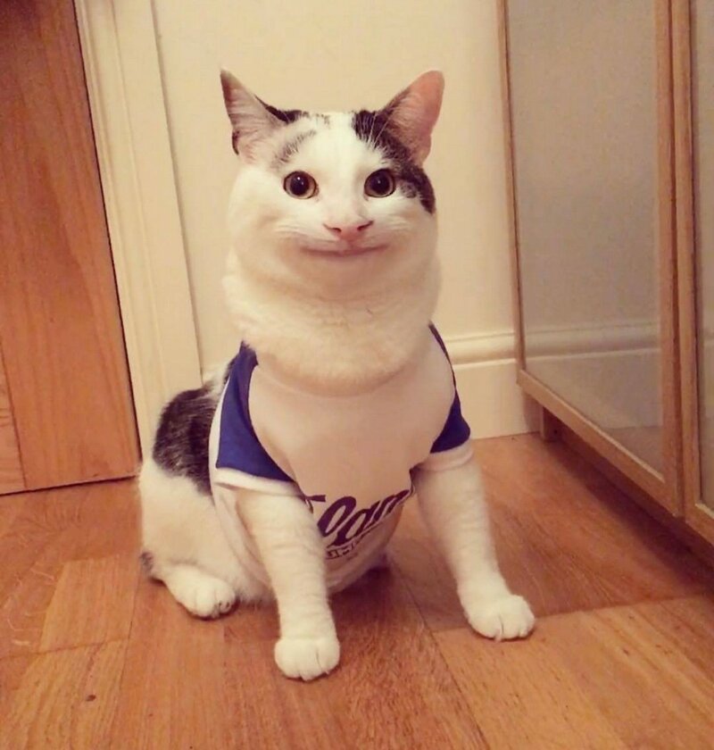 Эмоциональные фотографии для отличного настроения Эмоциональные фотографии для отличного настроения фотография