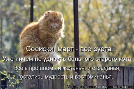 Апрельские котоматрицы