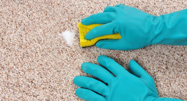 764655-650-1458653695-cbb362-cleaning-carpet-with-sponge-and-gloves-carpet-clean-d-2
