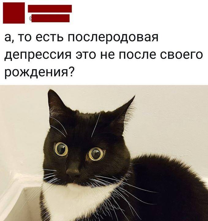 Из-за идиотов всё труднее жить дуракам — смешные картинки с надписями Из-за идиотов всё труднее жить дуракам — смешные картинки с надписями