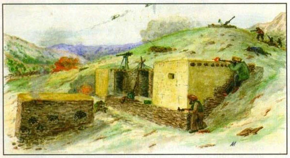 Афганские истории