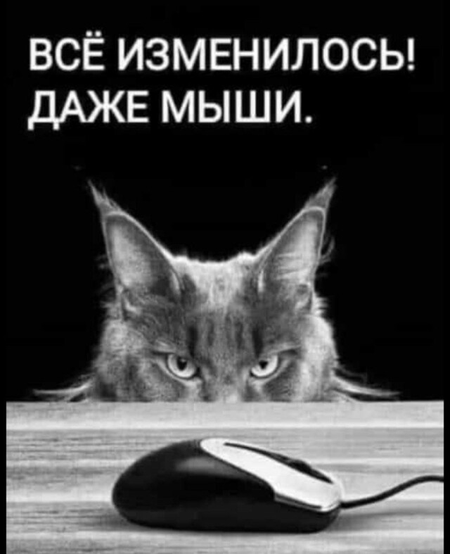 Прикольные мемы для хорошего настроения Прикольные мемы для хорошего настроения