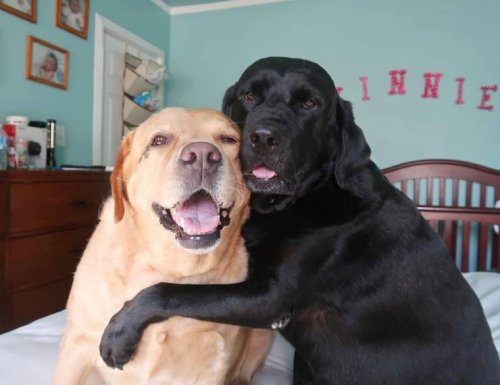 Только положительные эмоции и хорошее настроение Только положительные эмоции и хорошее настроение