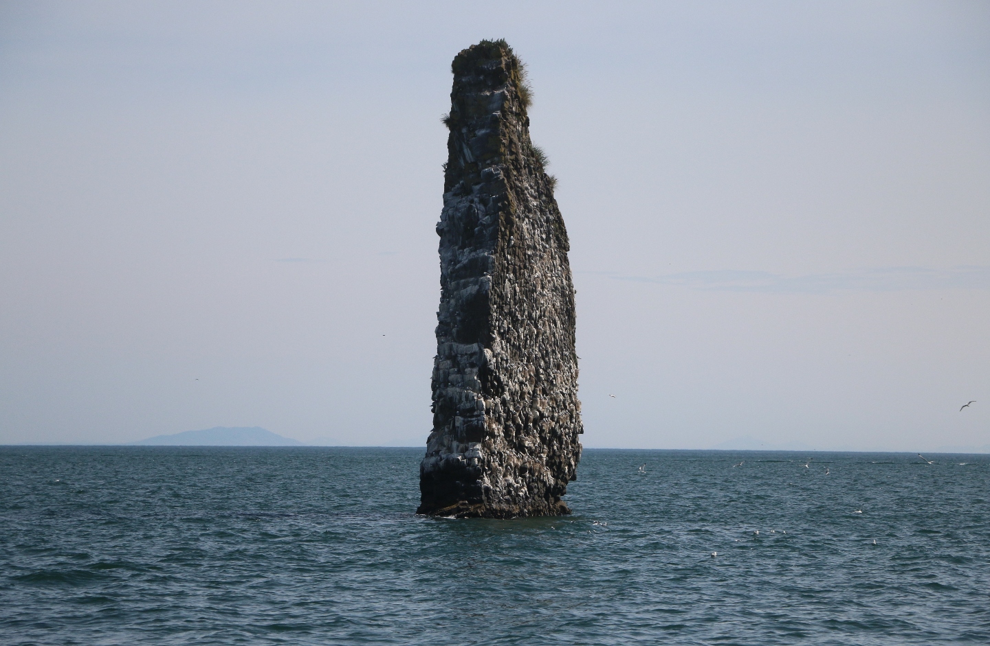 Камчатка. Часть 1-я. Вдоль камчатского берега - великолепие пейзажей и удивительный животный мир прибрежных вод. 