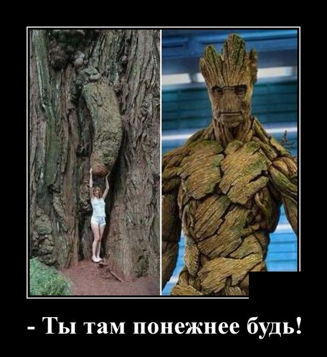 Свежие и забавные демотиваторы на выходные Свежие и забавные демотиваторы на выходные демотиваторы свежие,прикольные картинки,смешные демотиваторы,смешные комментарии,фото приколы,юмор