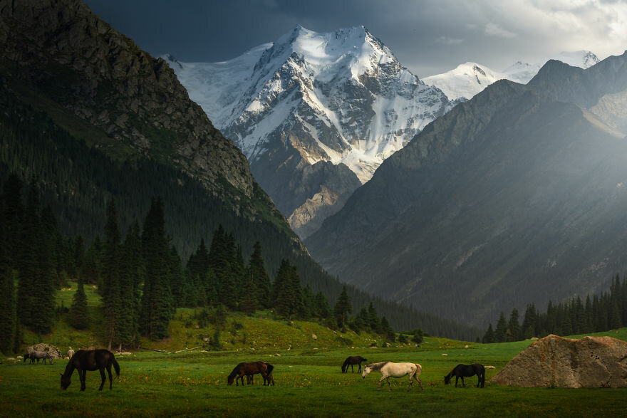 Долина с дикими лошадьми и видом на Пик Ельцина. Albert