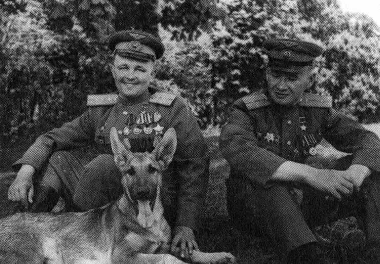 Знаменитый пёс-сапёр Джульбарс Джульбарс, собака-герой