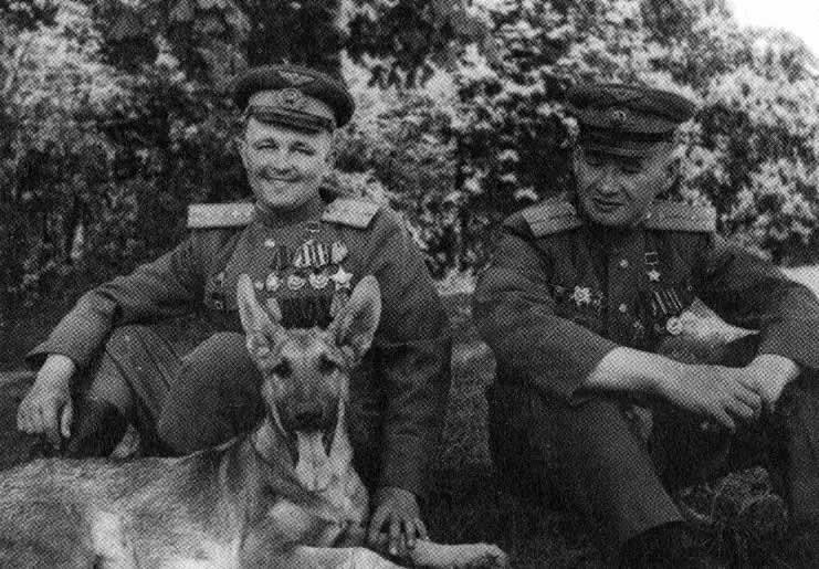 Знаменитый пёс-сапёр Джульбарс Джульбарс, собака-герой