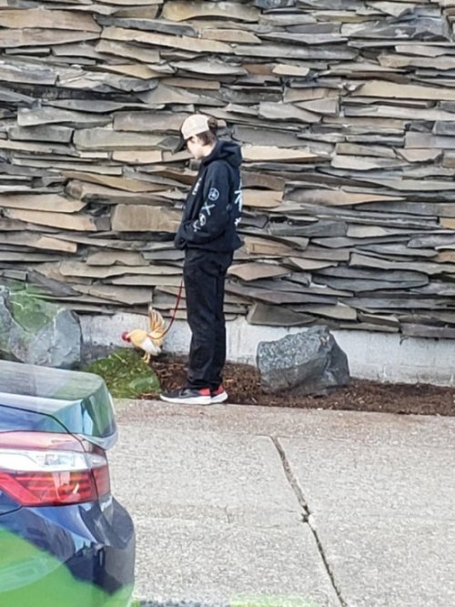 Такие прикольные картинки 2009/2019 Такие прикольные картинки 2009/2019 истории из жизни