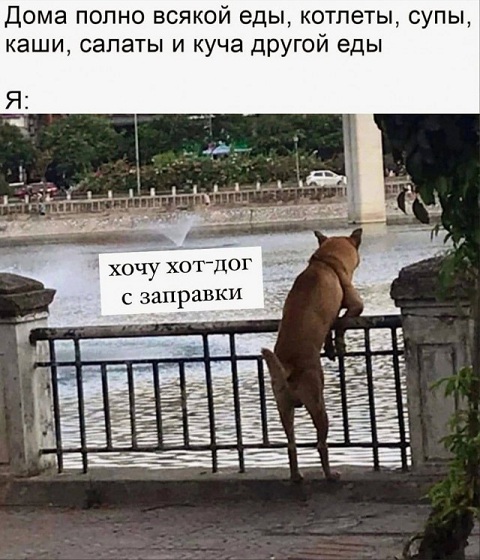 Подборка  шуток 