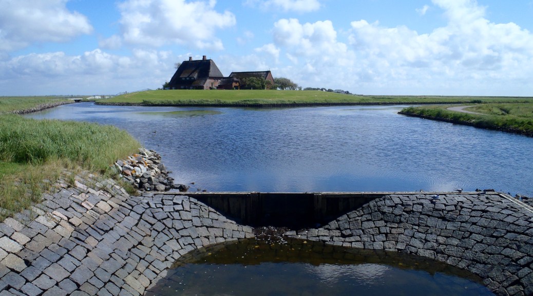 hallig 12