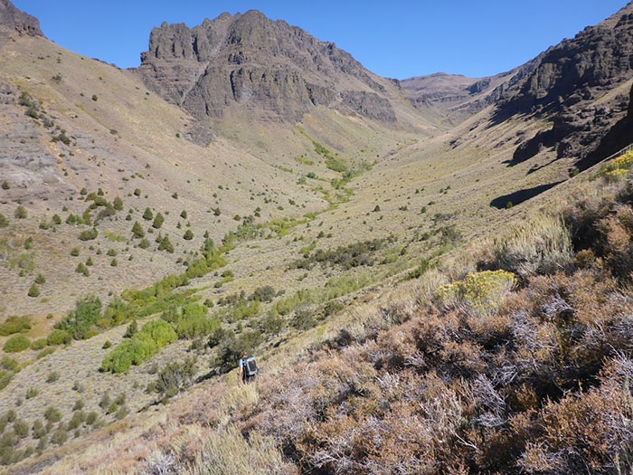 Как погибавшего в пустыне пенсионера спас велосипедист «из ниоткуда» герои,люди,отдых и туризм,происшествия