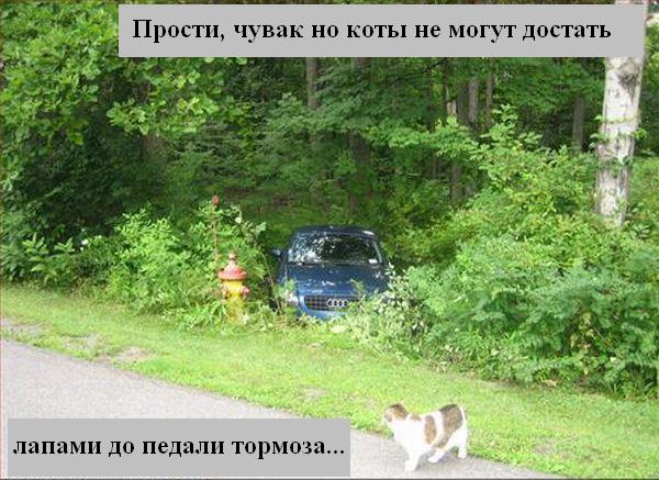 Мысли :) (50мыслей)