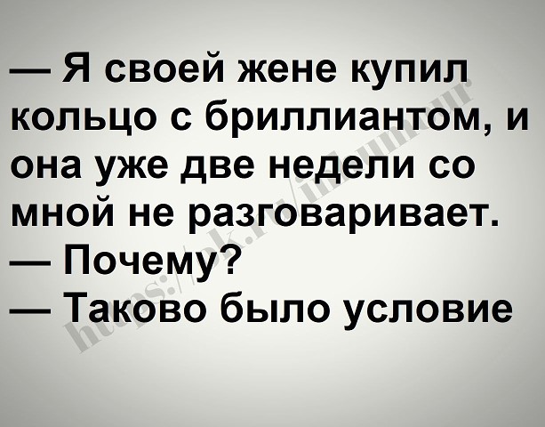 А у нас недавно кошка родила троих котят. Котята выросли немножко и ещё понарожали...) демотиваторы,приколы,Хохмы-байки,юмор