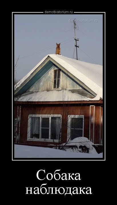 Прикольных демотиваторов пост Прикольных демотиваторов пост