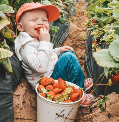 Подскажите, как действуют таблетки для посудомоечной машины? Уже съела три штуки, а мыть посуду всё равно не хочется... анекдоты,веселые картинки,демотиваторы,юмор