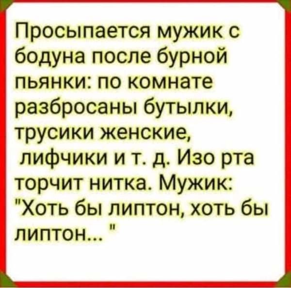 Пусть символ 2019 года будет единственной Свиньей..... Анекдоты 31 декабря 2018 года картинки