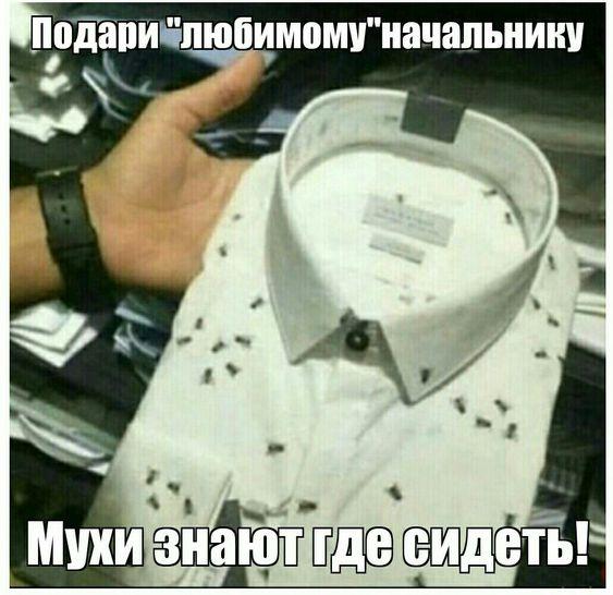 Классные смешные картинки 