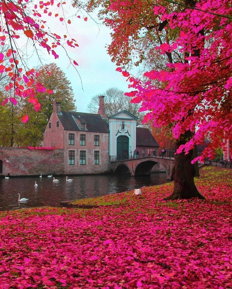 Brugge, Belgium Brugge, Belgium красивые места, мир, планета, природа, путешествия