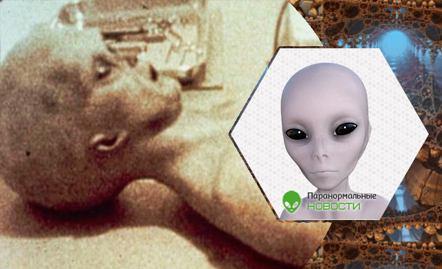 пришельцы, инопланетяне, теория заговора, Розуэлл, биороботы, НЛО, вскрытие пришельца