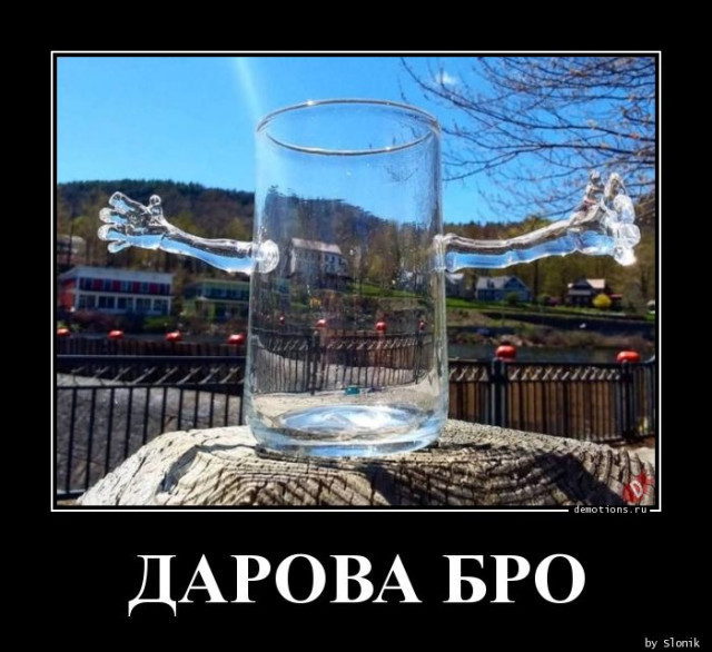 Демотиваторы – картинки: «Здорово, бро!»