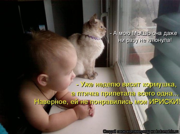 Мысли вслух :)
