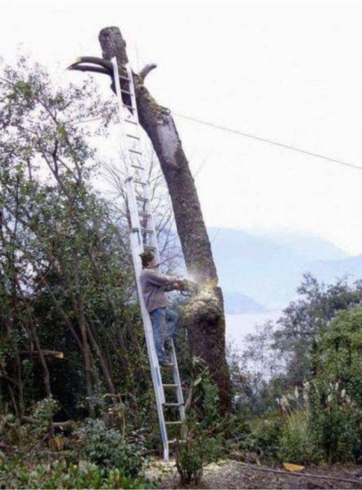 Глупые и безрассудные поступки в фотографиях 