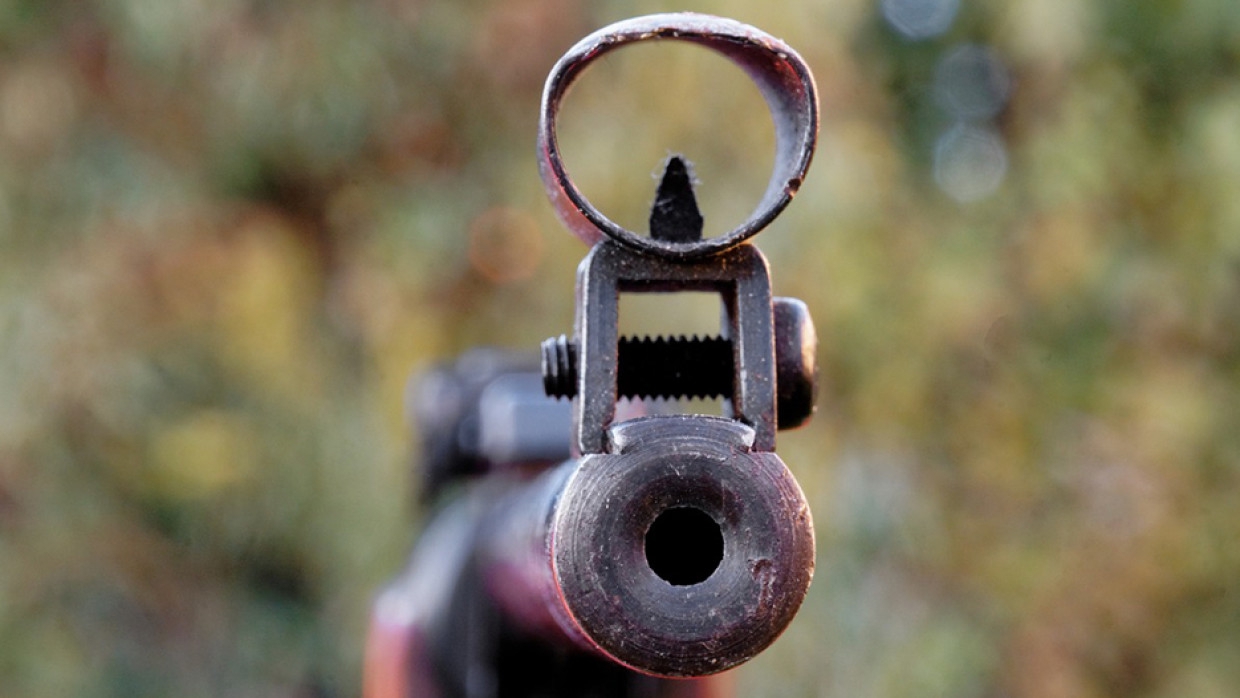 Погибшая от выстрела из ружья москвичка была педагогом школы искусств