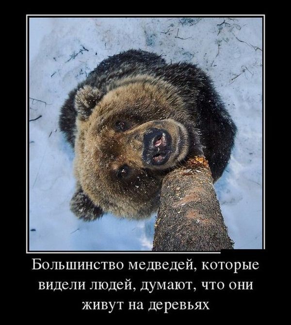 Жизненные веселые демотиваторы для хорошего утреннего настроения демотиваторы свежие,приколы,смешные демотиваторы,юмор