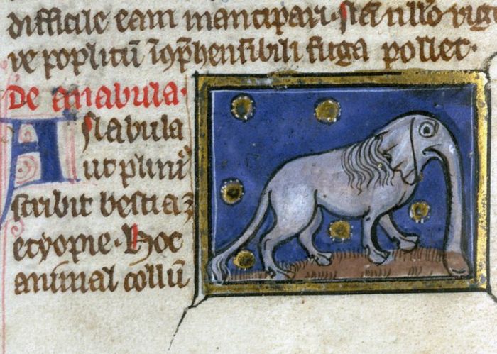 Как средневековые художники рисовали слонов, которых никогда не видели