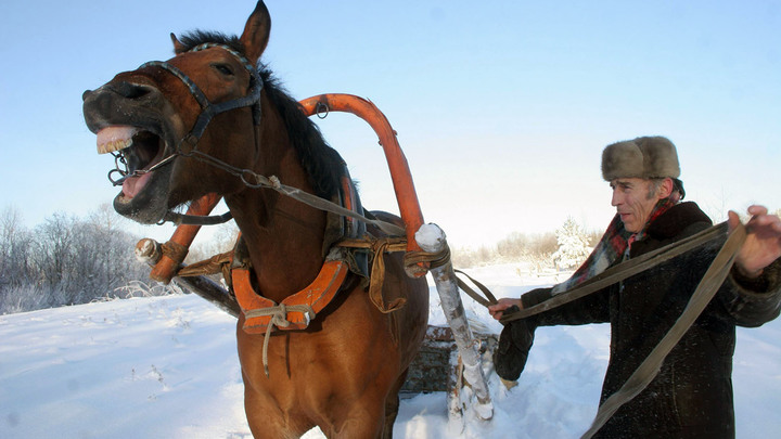 Новые "ваучеры" от Силуанова: Пенсионеры заплатят себе сами