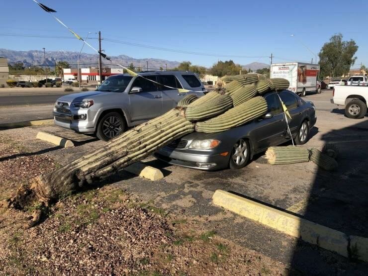 25 неудачников, которые не понаслышке знают, что такое "плохой день" 25 неудачников, которые не понаслышке знают, что такое "плохой день"