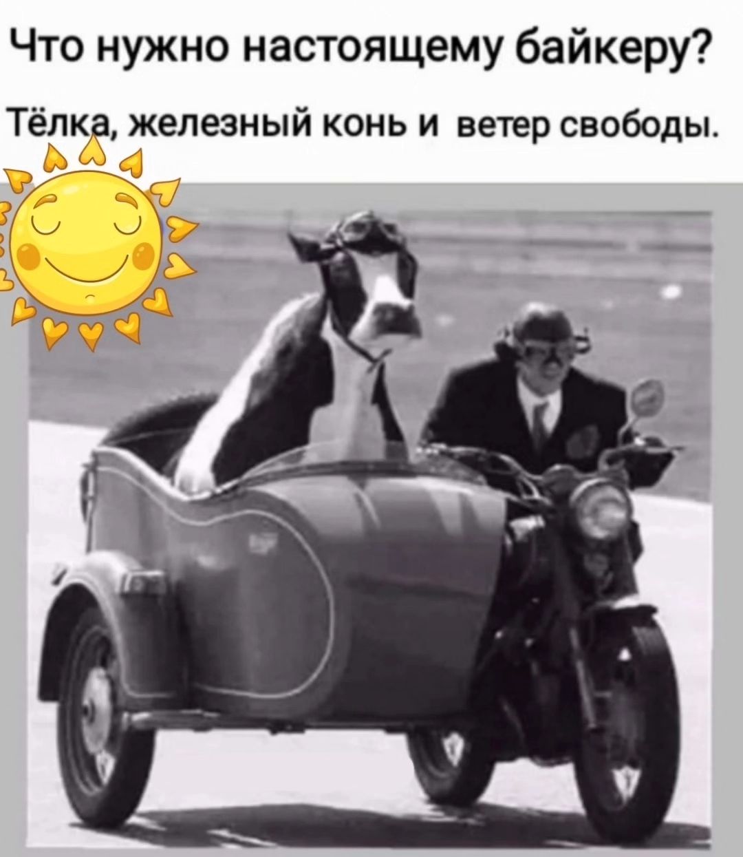 Мальчик был настолько ленивый, что вставал пораньше чтобы ничего не делать подольше! 