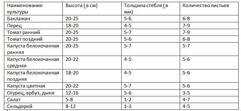 При какой температуре высаживать салат